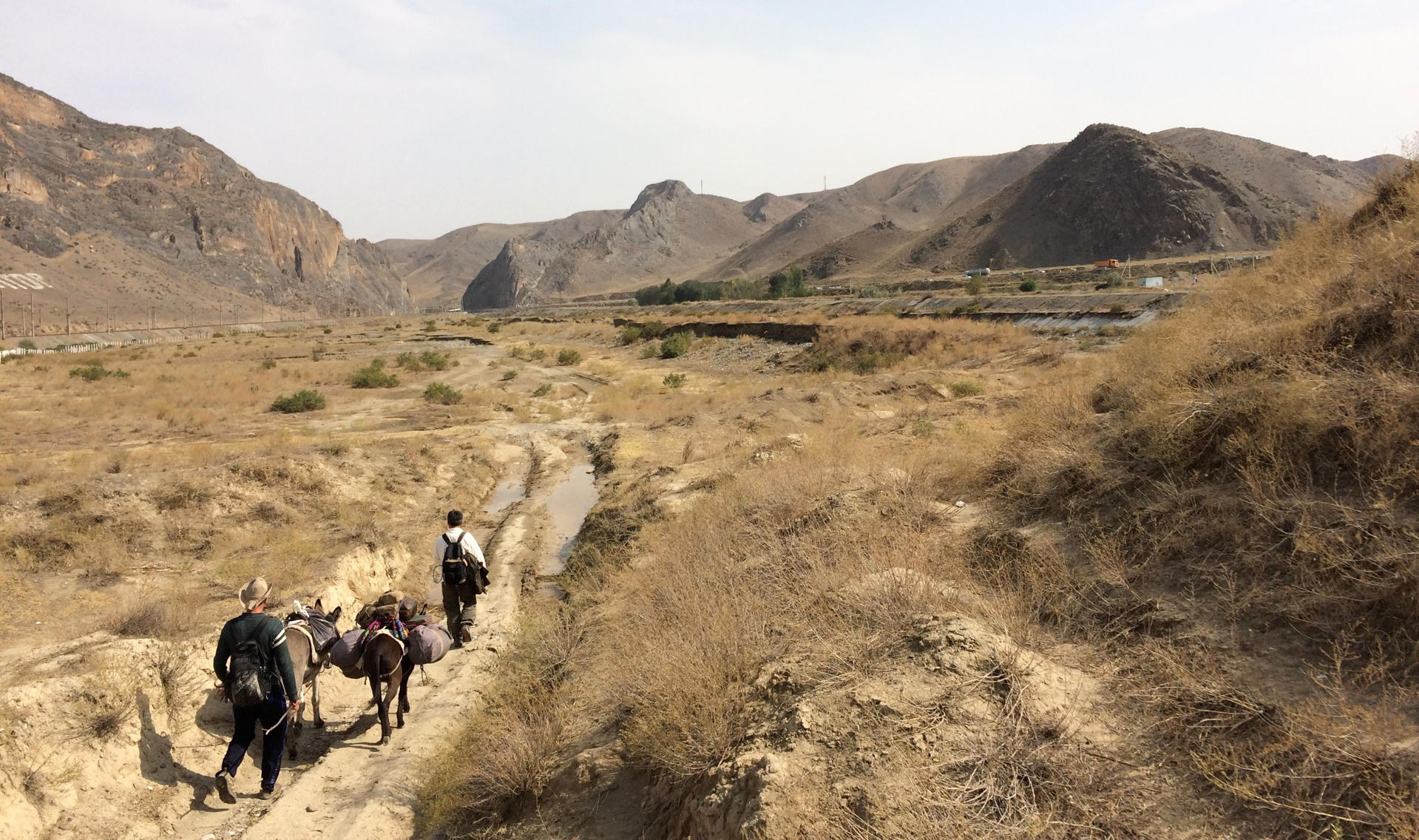 On the Post-pandemic World