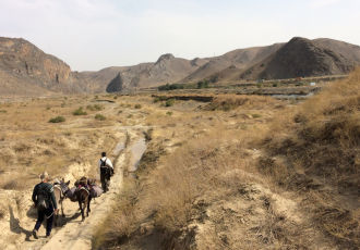 On the Post-pandemic World