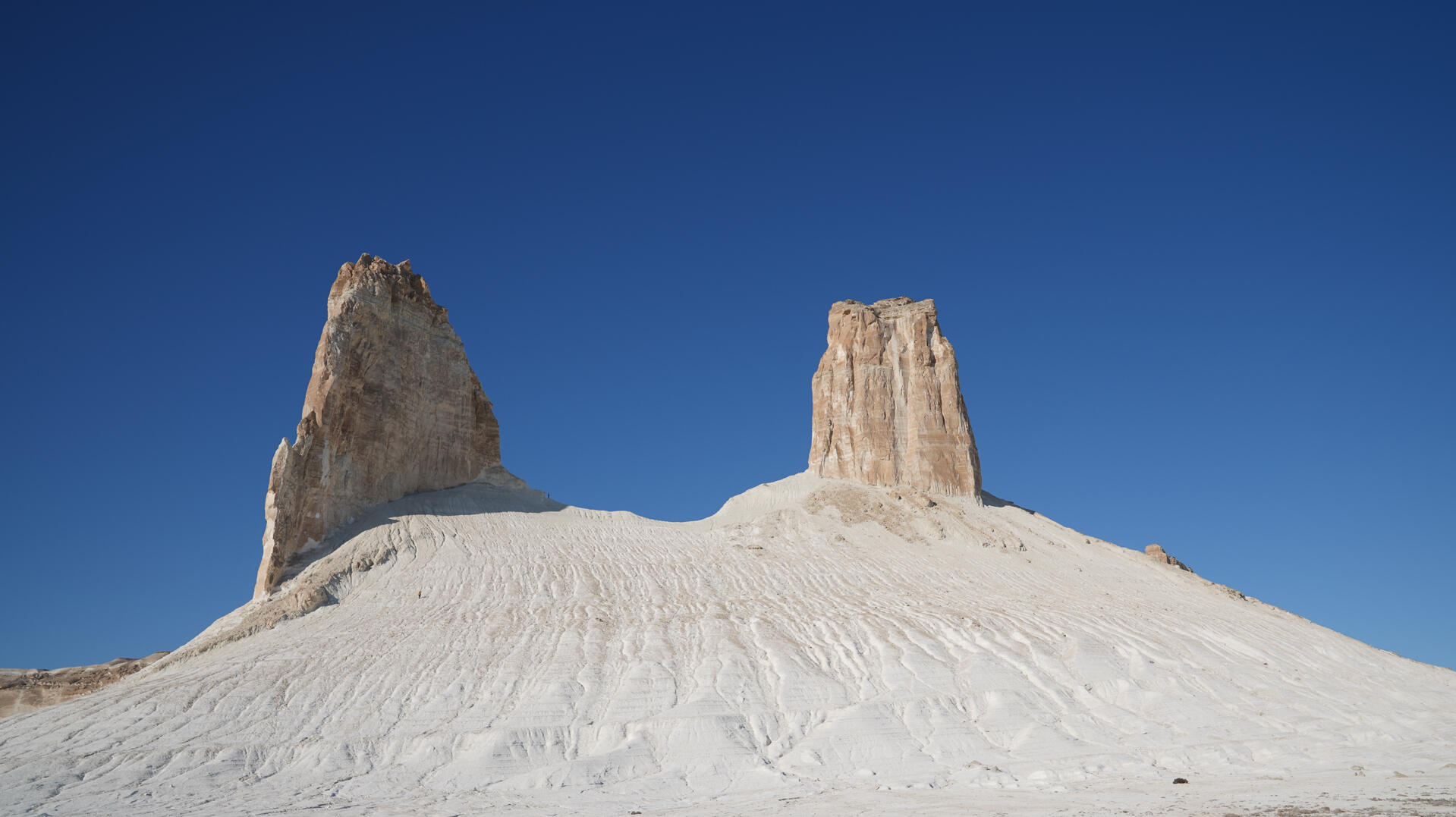 Бозжыраны қорғауға үндеу