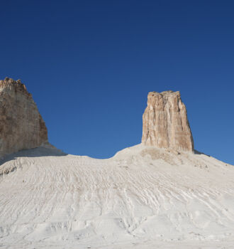 Бозжыраны қорғауға үндеу