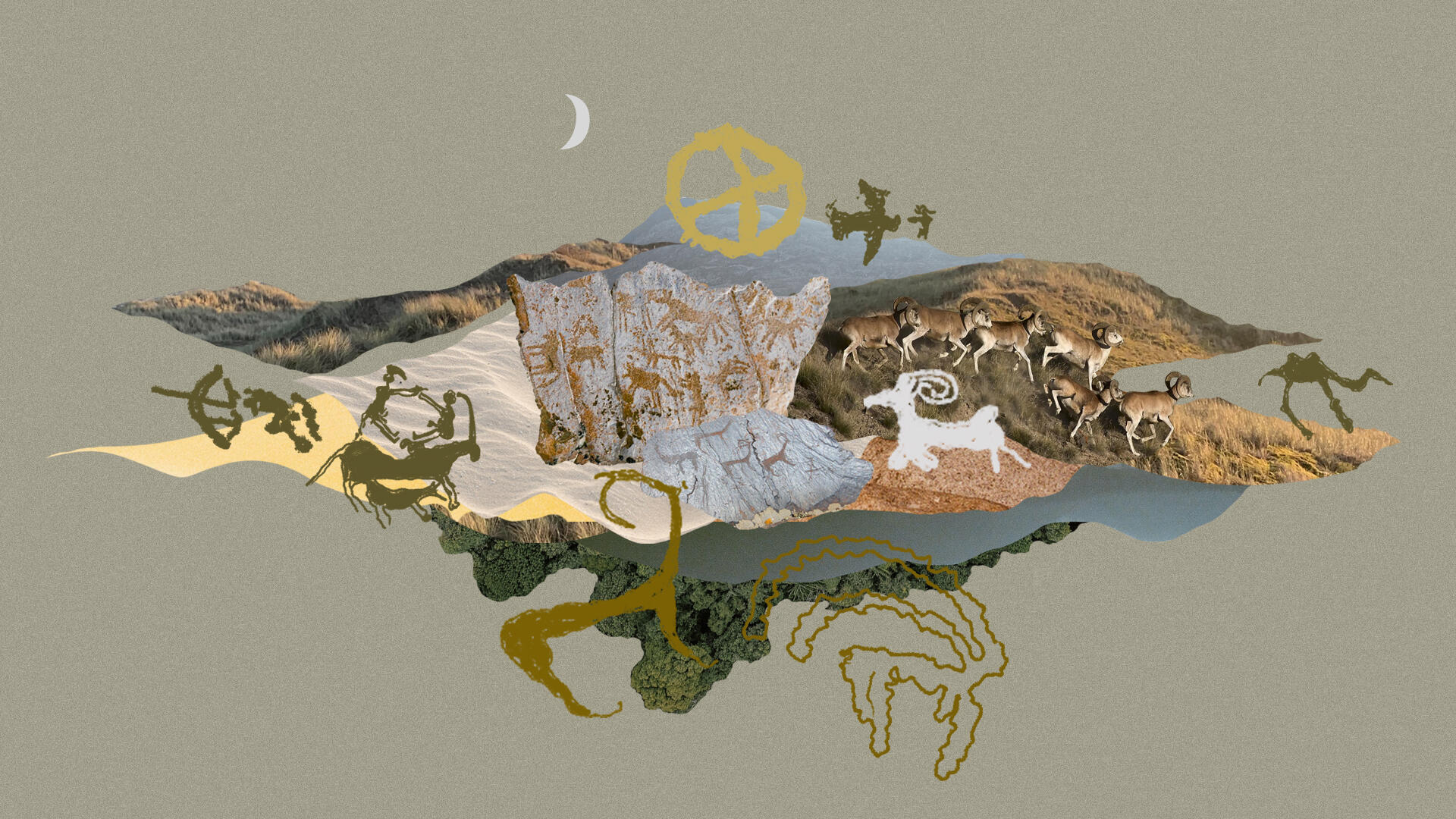 Священные архары Архарлы