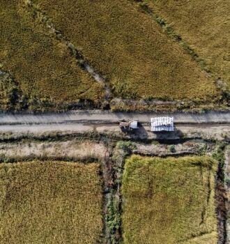 Фотовыставка «Зёрна риса»