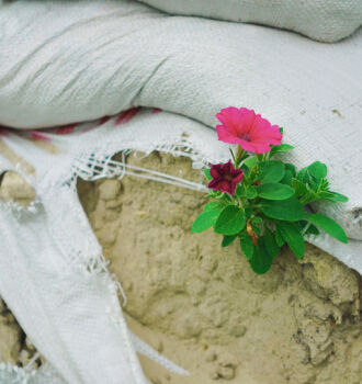 Записки из Украины. Цветы войны