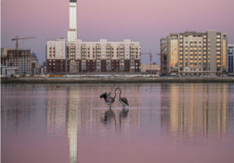 SOS Taldykol и «Зеленое спасение» обратились к участникам COP15