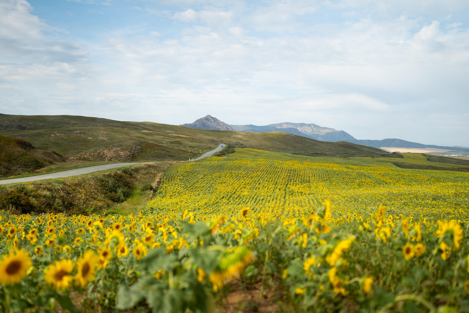 Документальный фильм «ШЫҒЫС: ЖЕР, СУ, АУА» будет показан в Оскемене и Астане