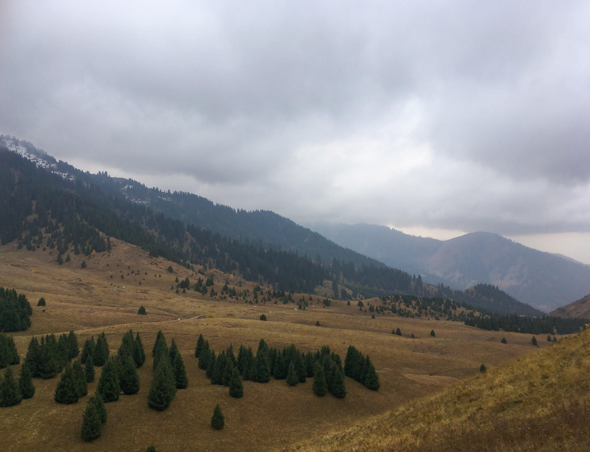 Kok-Zhailau defenders to hold a press-conference