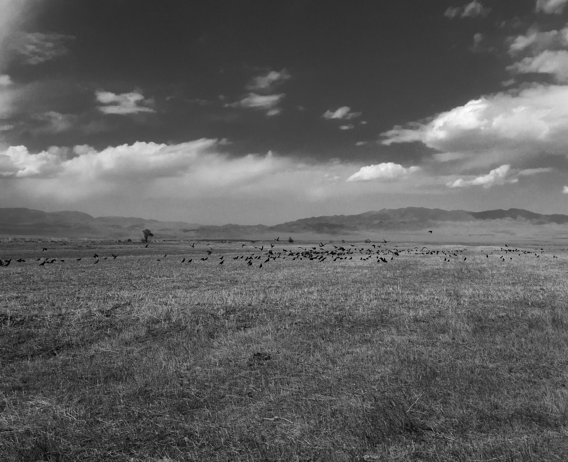 The Wall Street Journal: Ұмыт болған аштық