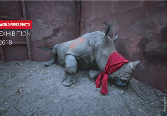 World Press Photo 2018 exhibition in Kazakhstan